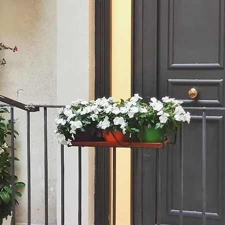 Blumaison - Charming * كاتانيا